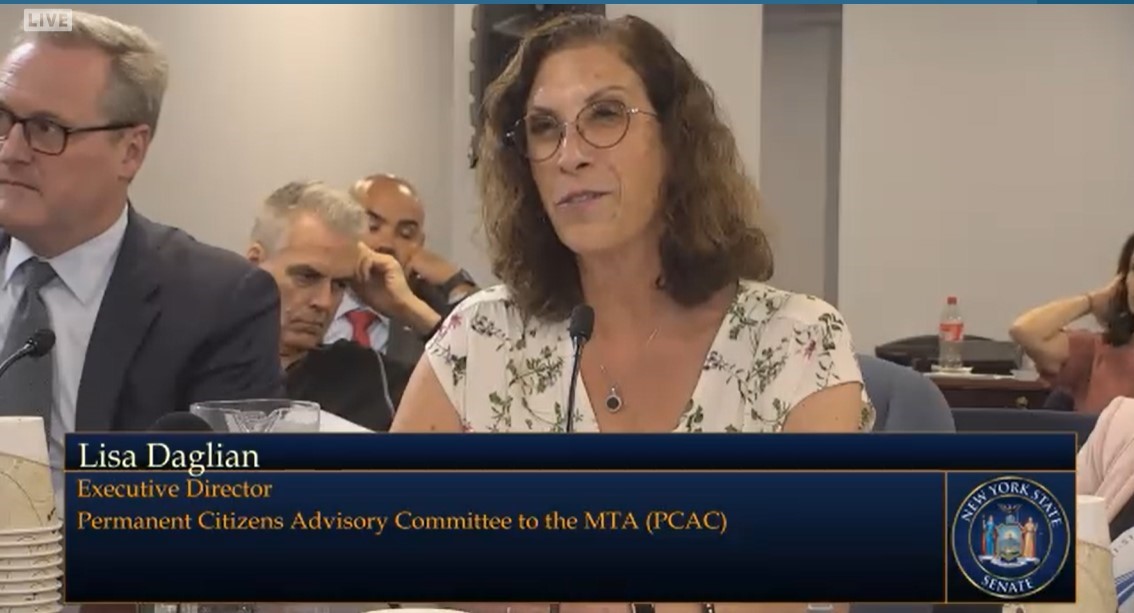 Testimony on Penn Station Reconstruction to NYS Senate Standing